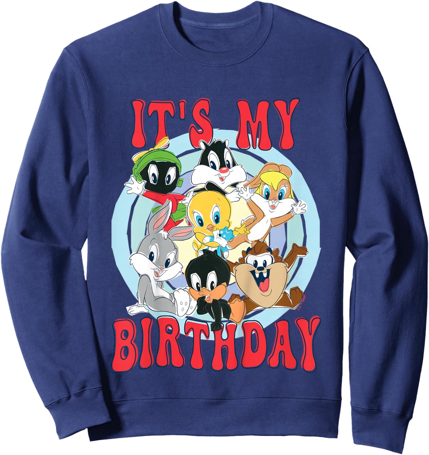 Kids Looney Tunes Looney Group Kid Drawn It's My Birthday Sweatshirt - Sweatshirt | Navy