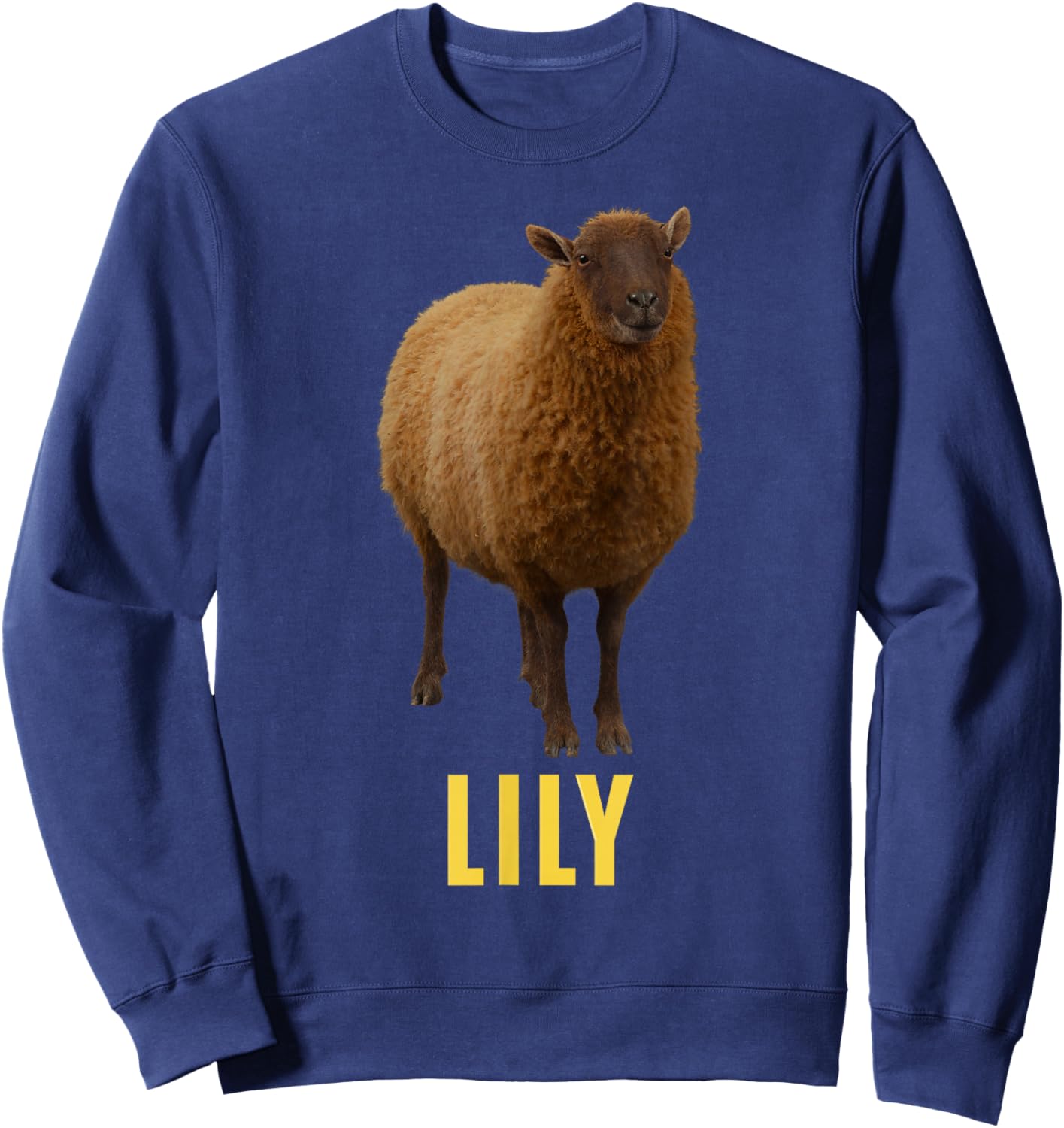 Lily Sweatshirt - Sweatshirt | Navy