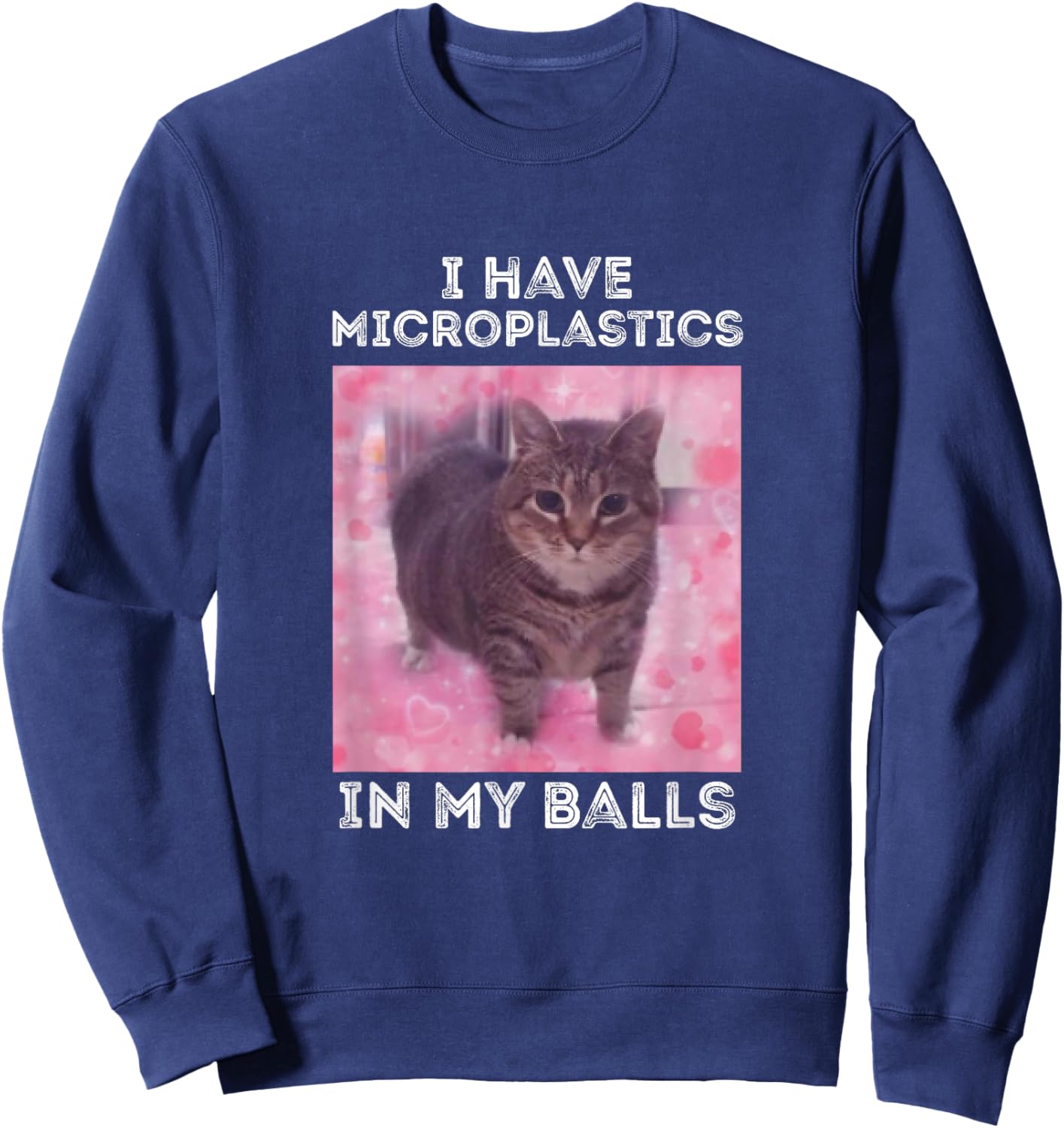 I Have Microplastics in my Balls Funny Cat Meme Sweatshirt - Sweatshirt | Navy