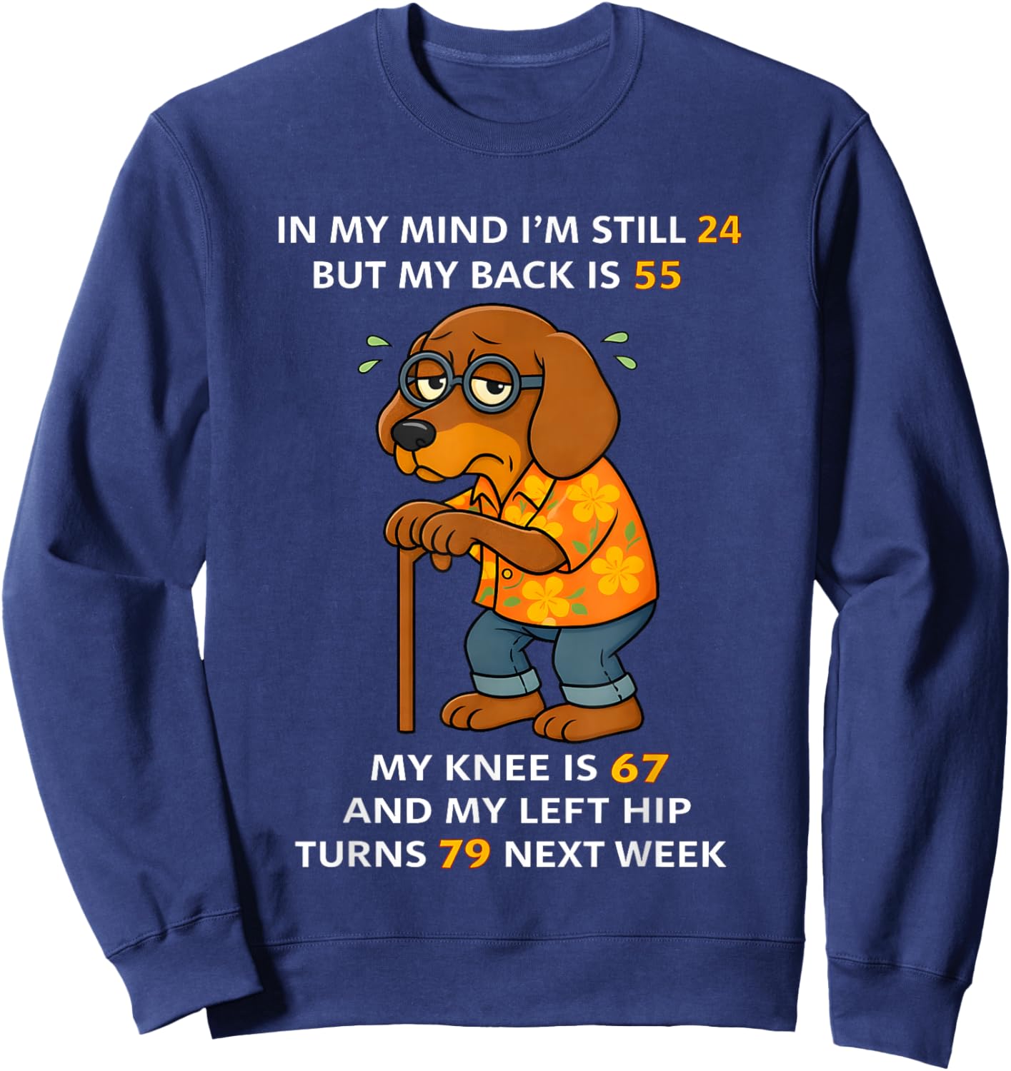 Dog in My Mind I'm Still 24 But My Back is 55 My Knee is 67 Sweatshirt - Sweatshirt | Navy
