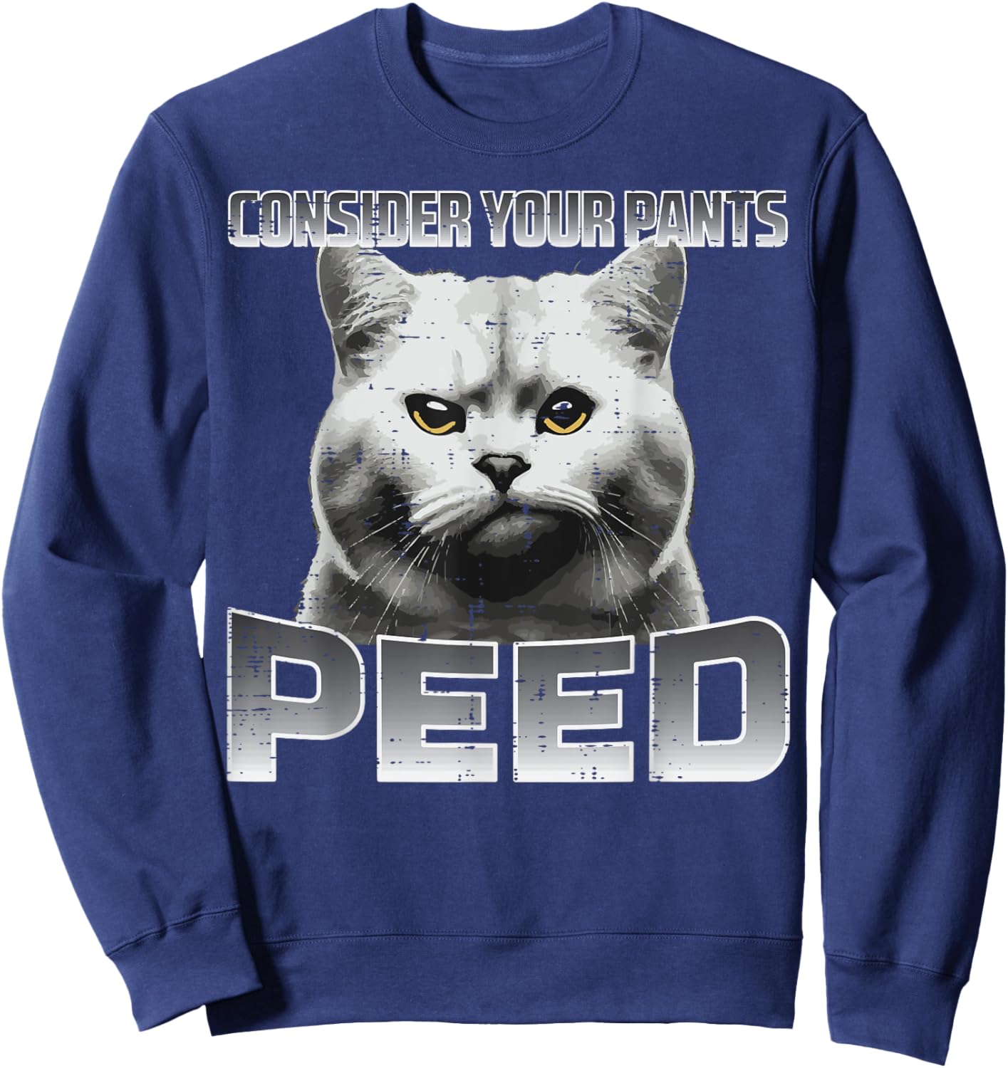 Funny Cat Consider Your Pants Peed Silly Meme Men Women Kids Sweatshirt - Sweatshirt | Navy