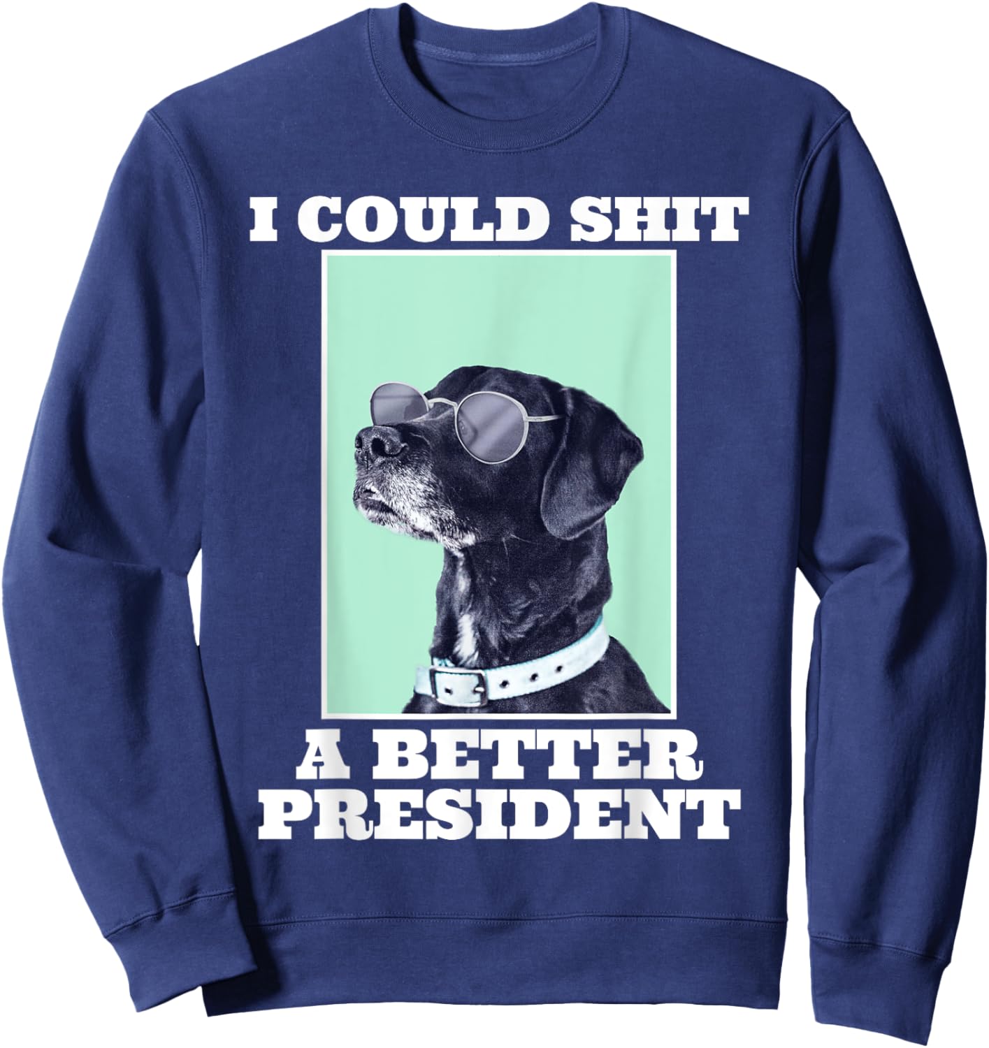 I Could Shit A Better President Funny Dogs Lovers Sarcasm Sweatshirt - Sweatshirt | Navy