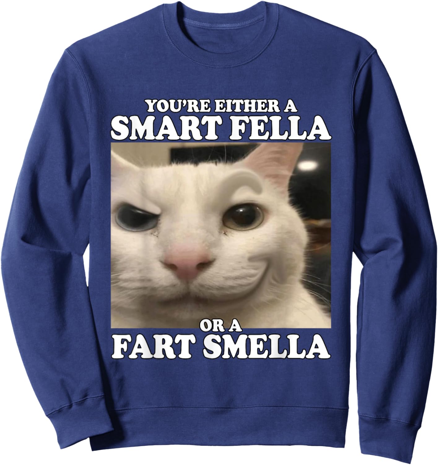 You're Either A Smart Fella Or A Fart Smella Funny Cat Meme Sweatshirt - Sweatshirt | Navy