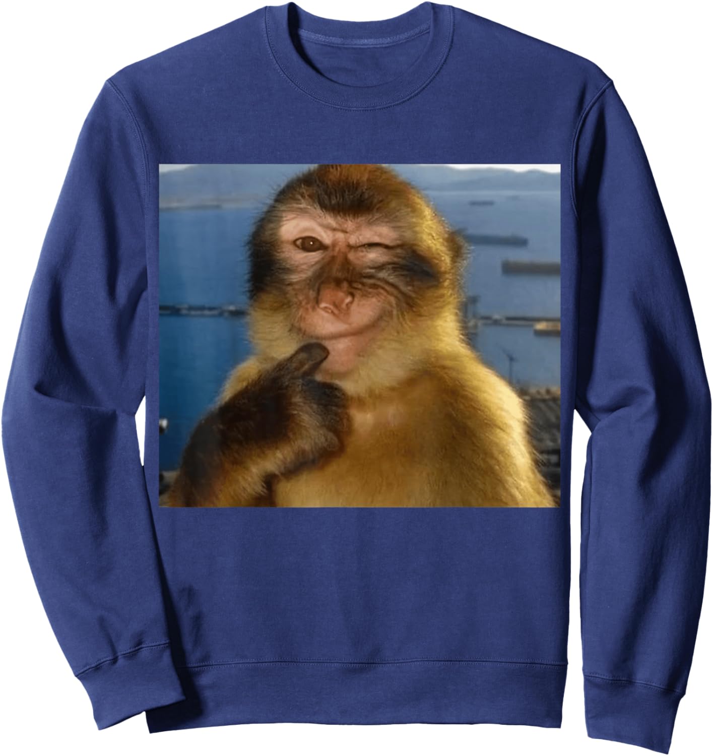 Thinking Monkey Meme Smiling | Funny Brainrot Silly Sweatshirt - Sweatshirt | Navy