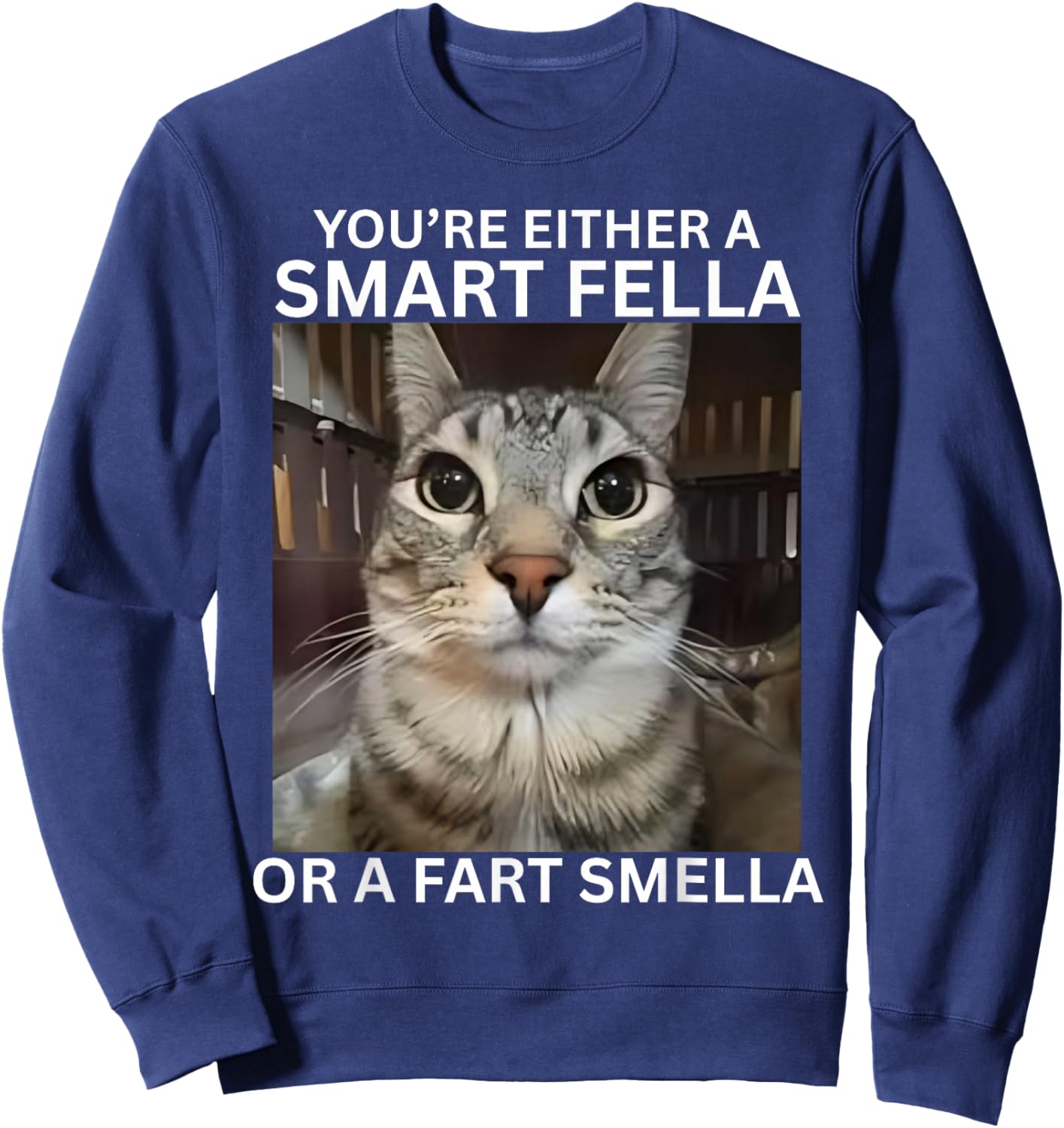 You're Either A Smart Fella Or A Fart Smella Meme Cat Meme Sweatshirt - Sweatshirt | Navy