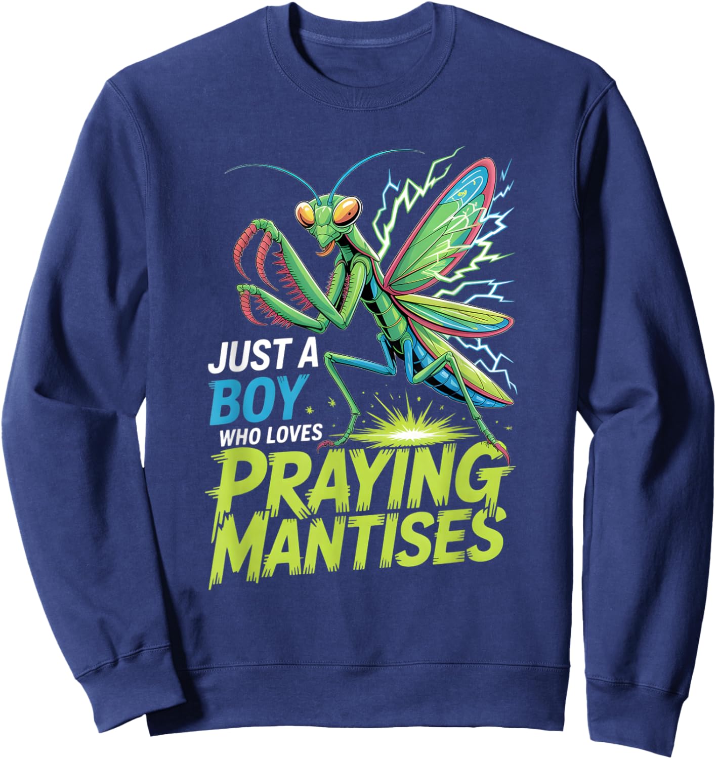 Boys Praying Mantis Sweatshirt - Sweatshirt | Navy