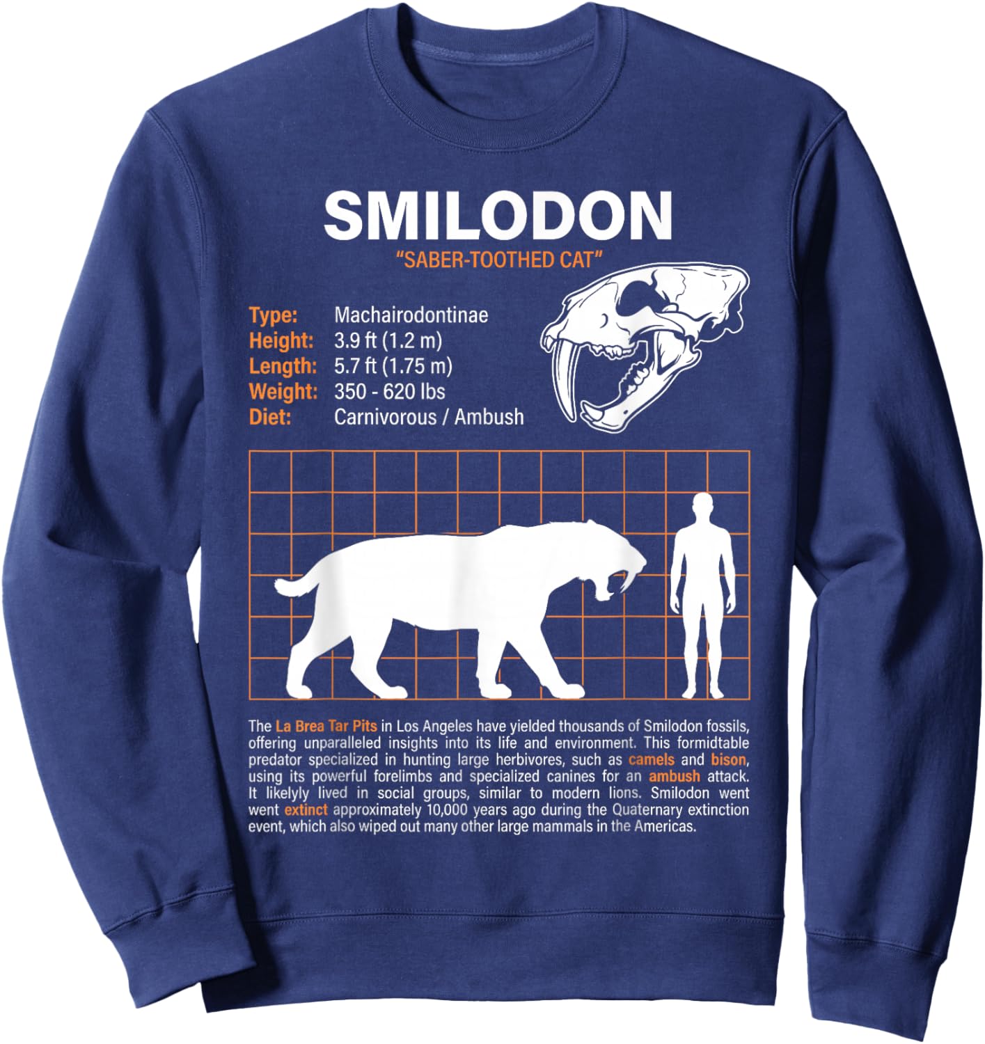 T-Shirt Sweatshirt - Sweatshirt | Navy