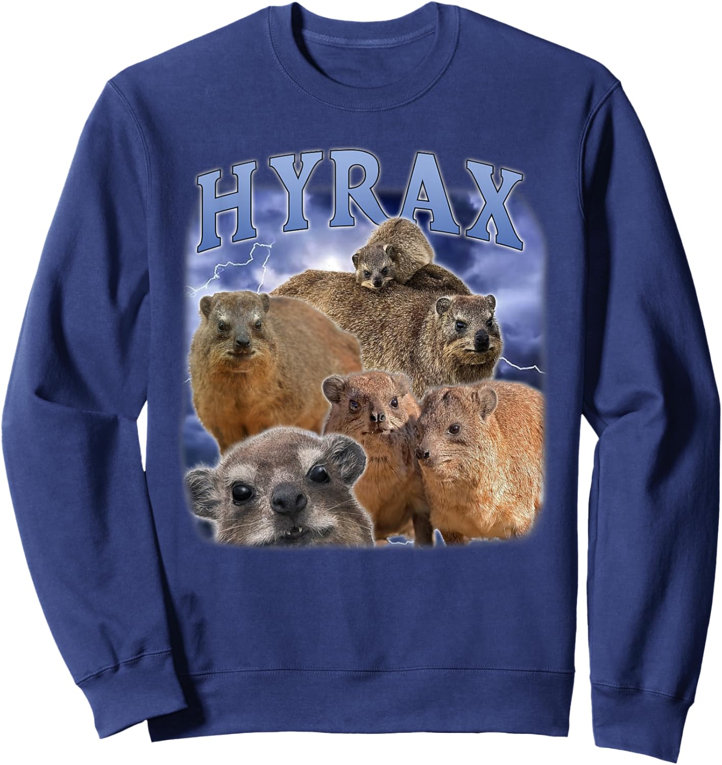 Hyrax Fire Meme Lustiger Tierliebhaber Humor Rock Hyrax Sweatshirt - Sweatshirt | Navy
