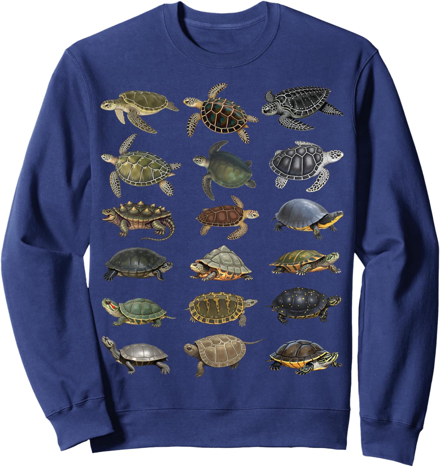 Types of Turtles Sea & Freshwater Turtle Species Educational Sweatshirt - Sweatshirt | Navy