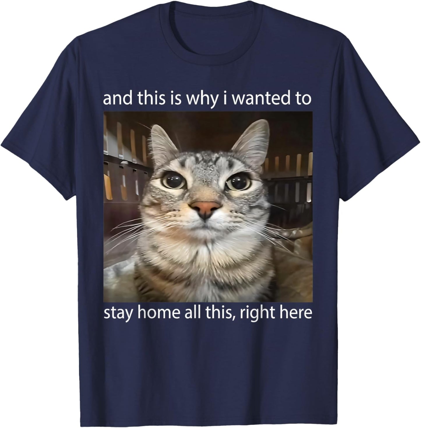 Silly Staring Cat Meme and This is Why I Wanted to Stay Home T-Shirt - T-Shirt | Navy