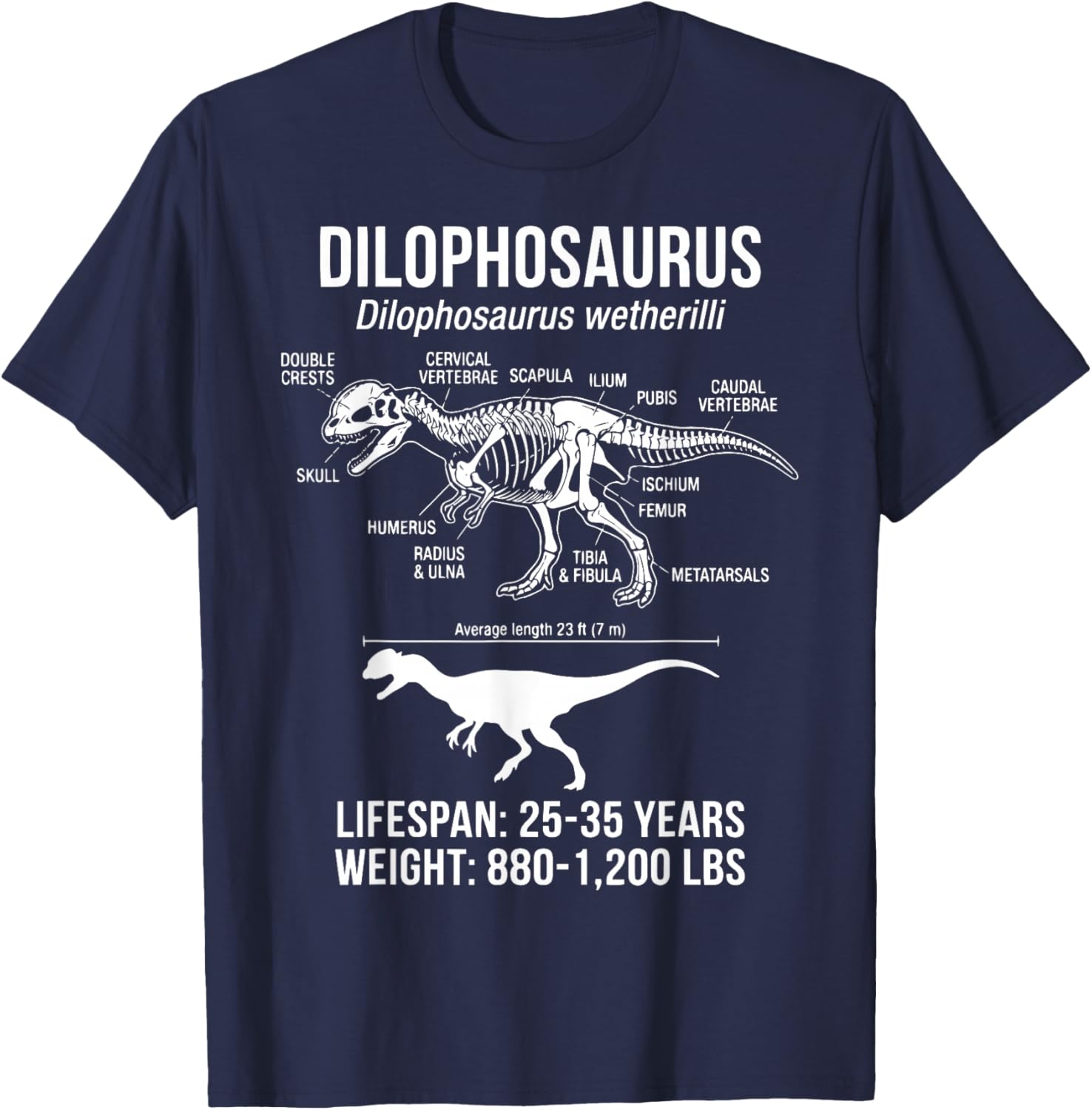 Dilophosaurus Diagram Fossil T-Shirt - T-Shirt | Navy