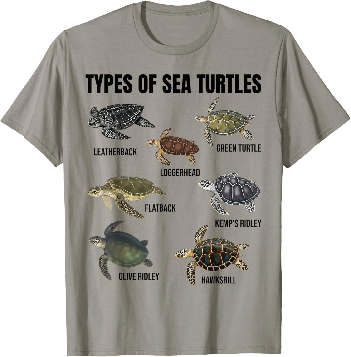 Types of Sea Turtles Marine Turtle Species Educational Chart T-Shirt - T-Shirt | Sand