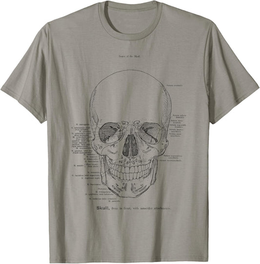 Skull Anatomy Model The Human Skull Anatomical Chart T-Shirt - T-Shirt | Sand