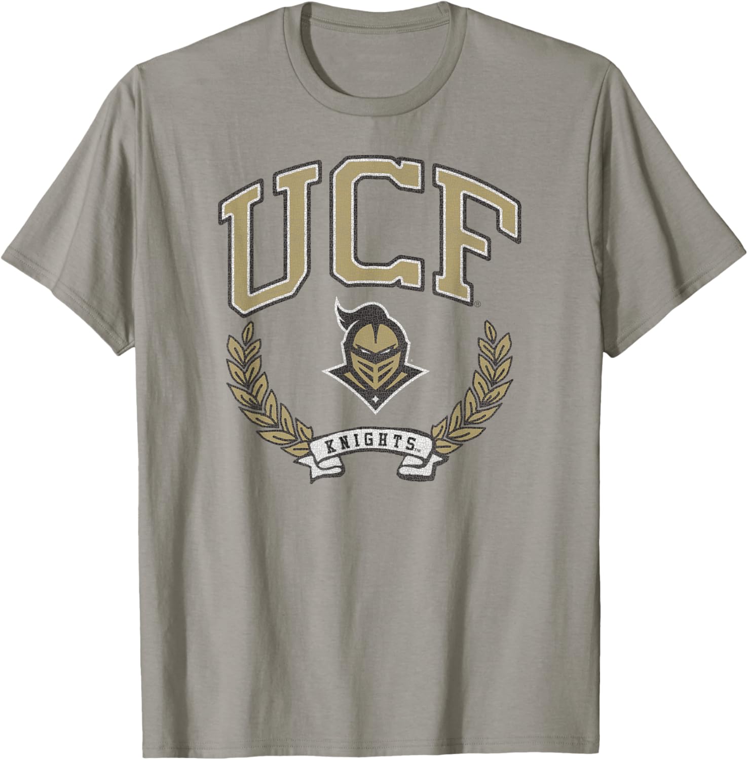 Central Florida Golden Knights Victory Vintage Gray T-Shirt - T-Shirt | Sand