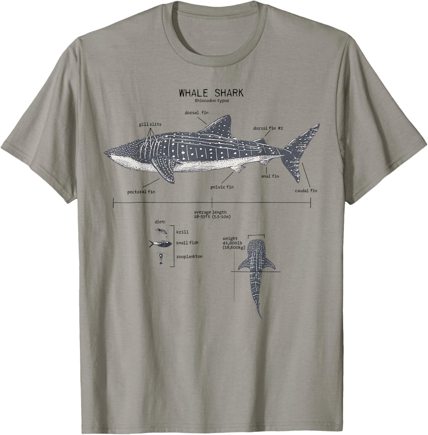 Whale Shark Anatomy Marine Biology T-Shirt - T-Shirt | Sand