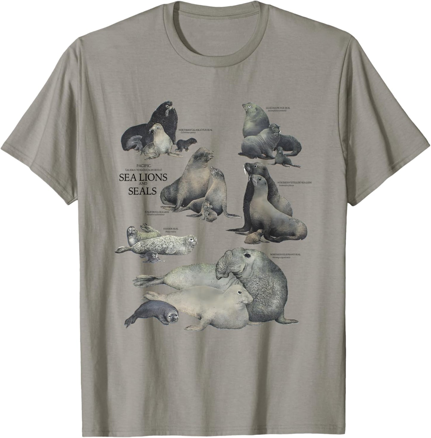 Vintage Pacific Sea Lions and Seals Species Chart T-Shirt - T-Shirt | Sand