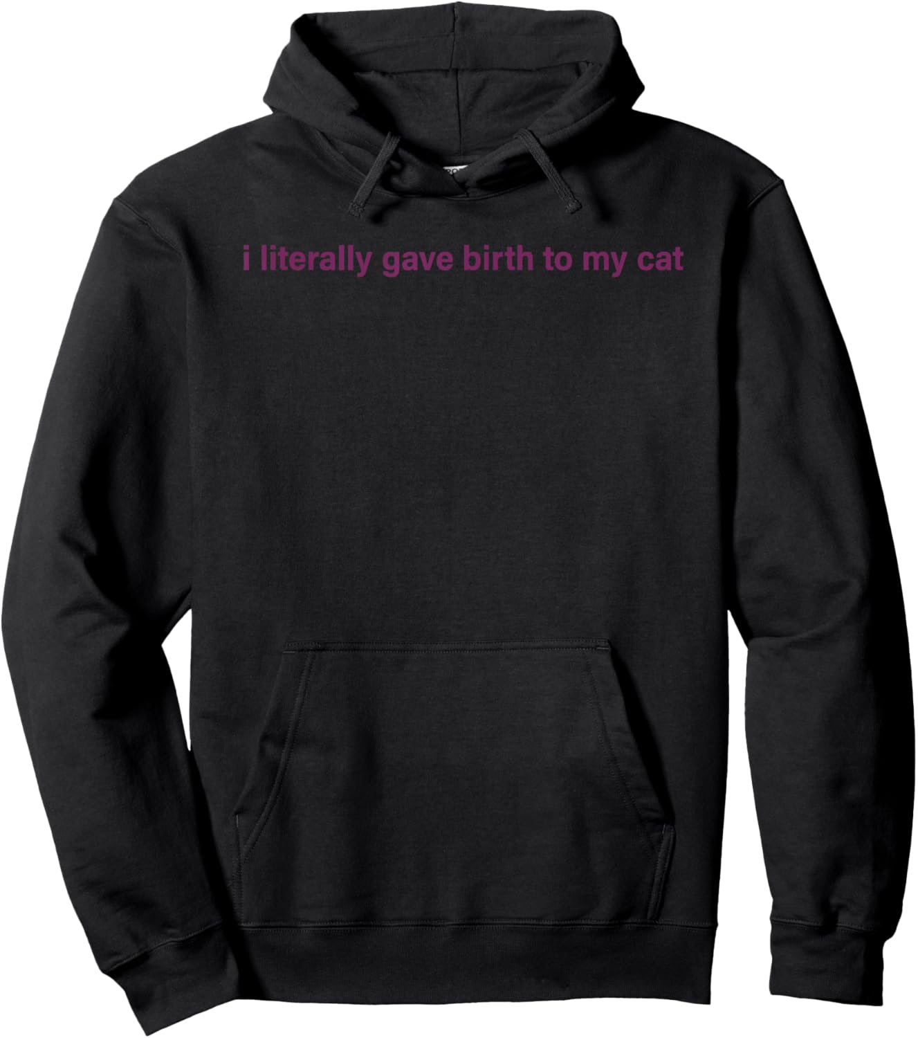 I Literally Gave Birth To My Cat Women Hoodie - Hoodie | Black