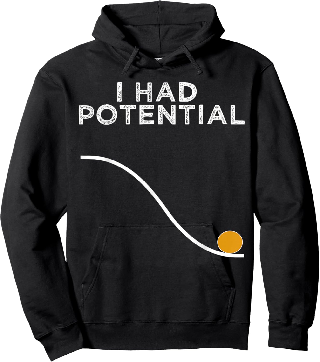 Funny Physics Teacher I Had Potential Science Hoodie - Hoodie | Black