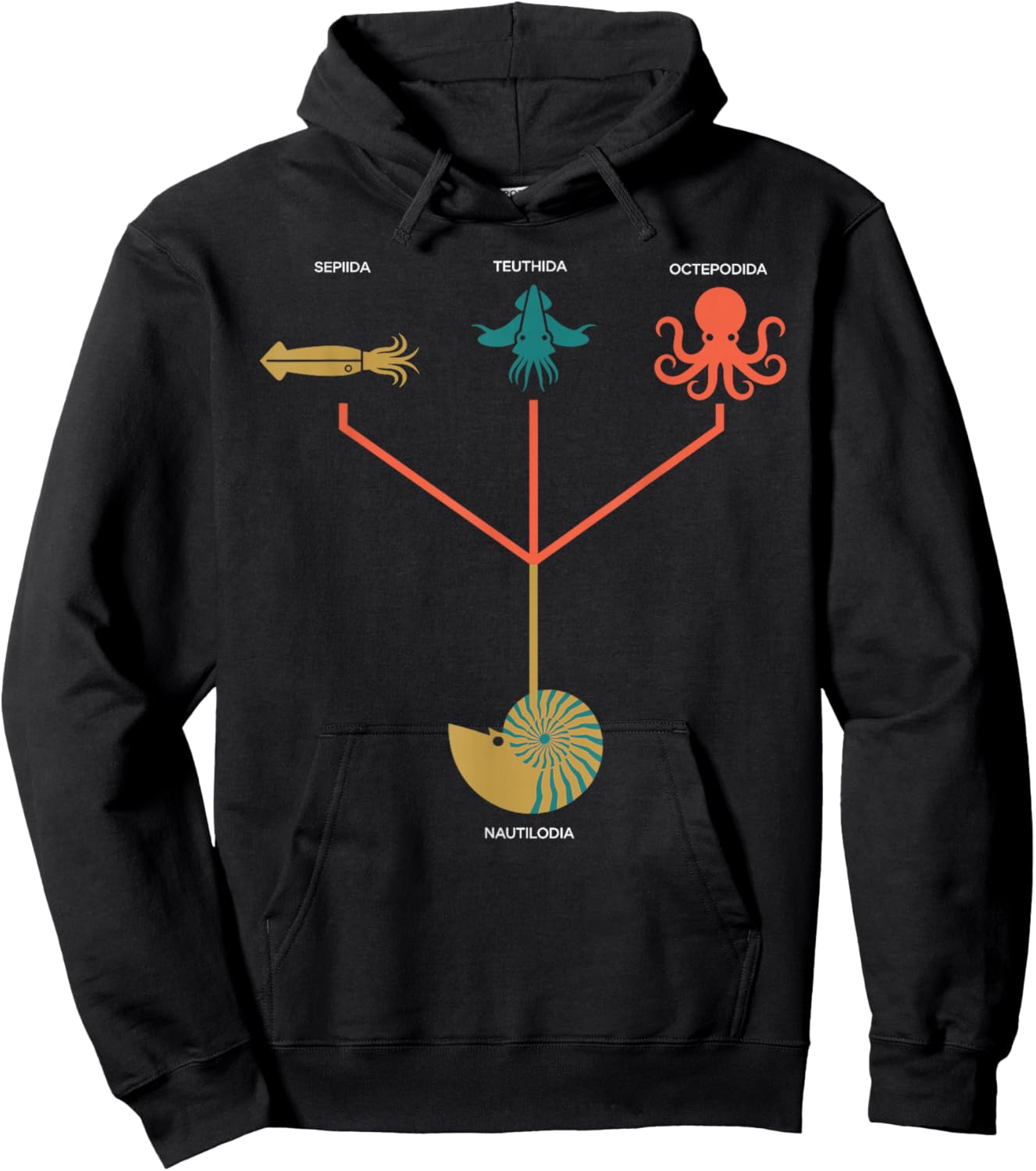 Cephalopod Phylogeny Chart Marine Biology Hoodie - Hoodie | Black