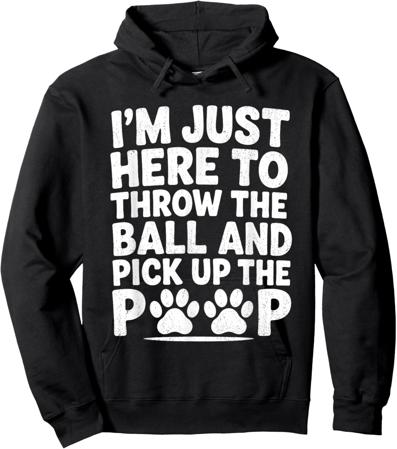 Throw Ball Pick Up Poop Funny Dog Walker Pet Sitter Dog Park Hoodie - Hoodie | Black