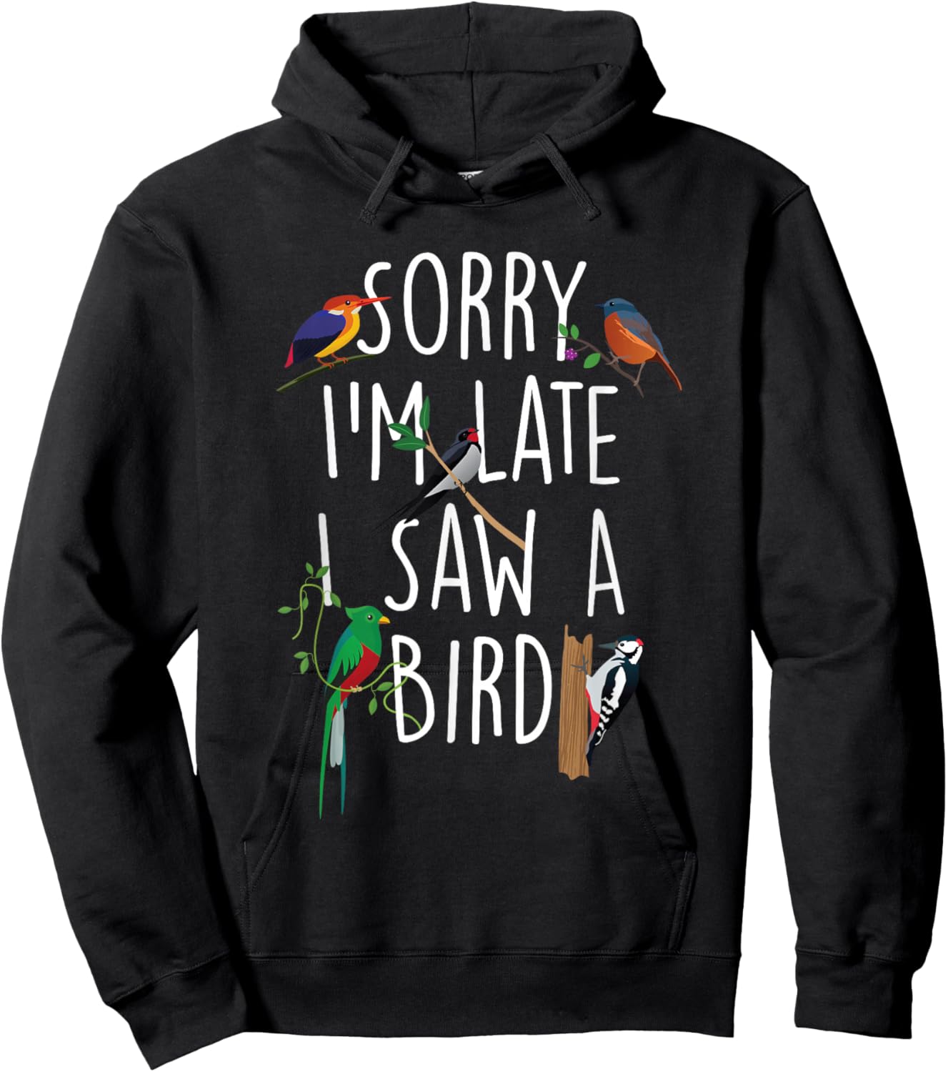 Sorry I'm Late I Saw A Bird - Bird Watching Bird Watcher Hoodie - Hoodie | Black
