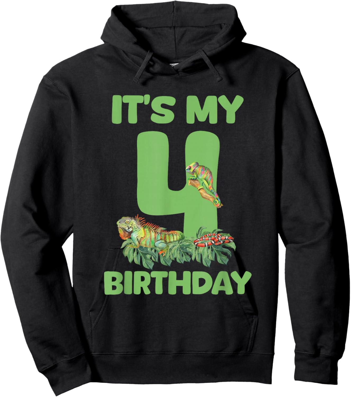 It's My 4th Birthday Lizard Themed 4 Year Old Boy Toddler Hoodie - Hoodie | Black