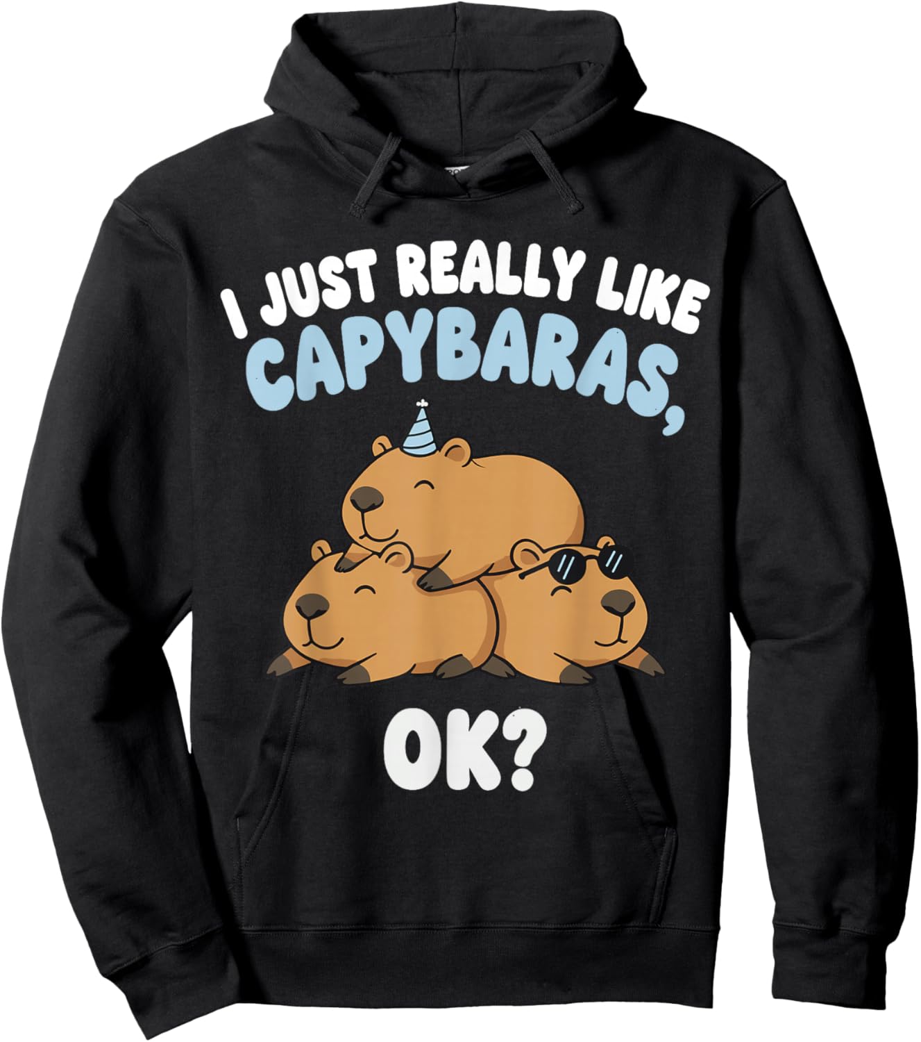 I Just Really Like Capybaras Ok Hoodie - Hoodie | Black