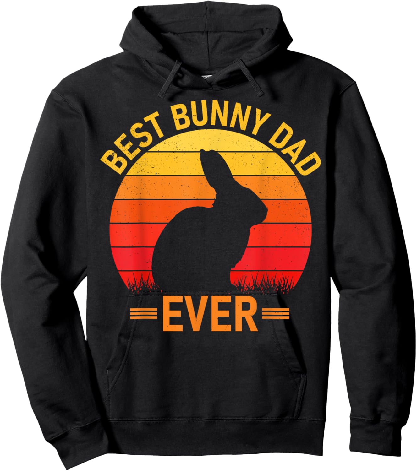 Rabbit Dad Best Bunny Dad Ever Fatherhood Lover Bunnies Hoodie - Hoodie | Black