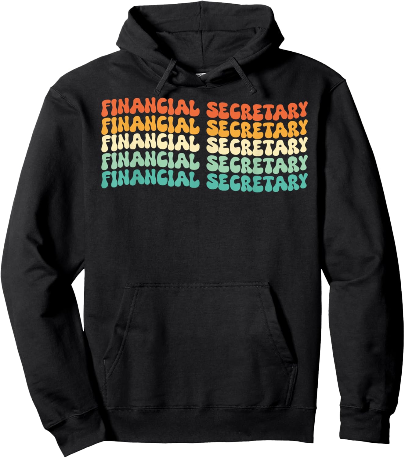 Groovy Financial Secretary Job Title Hoodie - Hoodie | Black