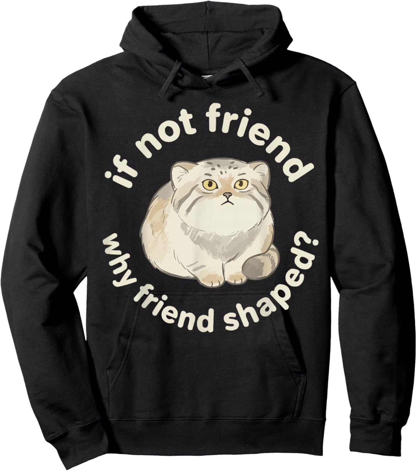 Pallas Cat Lover Kitten Meow Wild Cat Manul Hoodie - Hoodie | Black