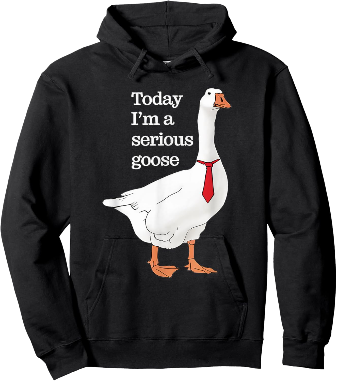 Today I Am A Serious Goose Funny Oddly Specific Dank Meme Hoodie - Hoodie | Black
