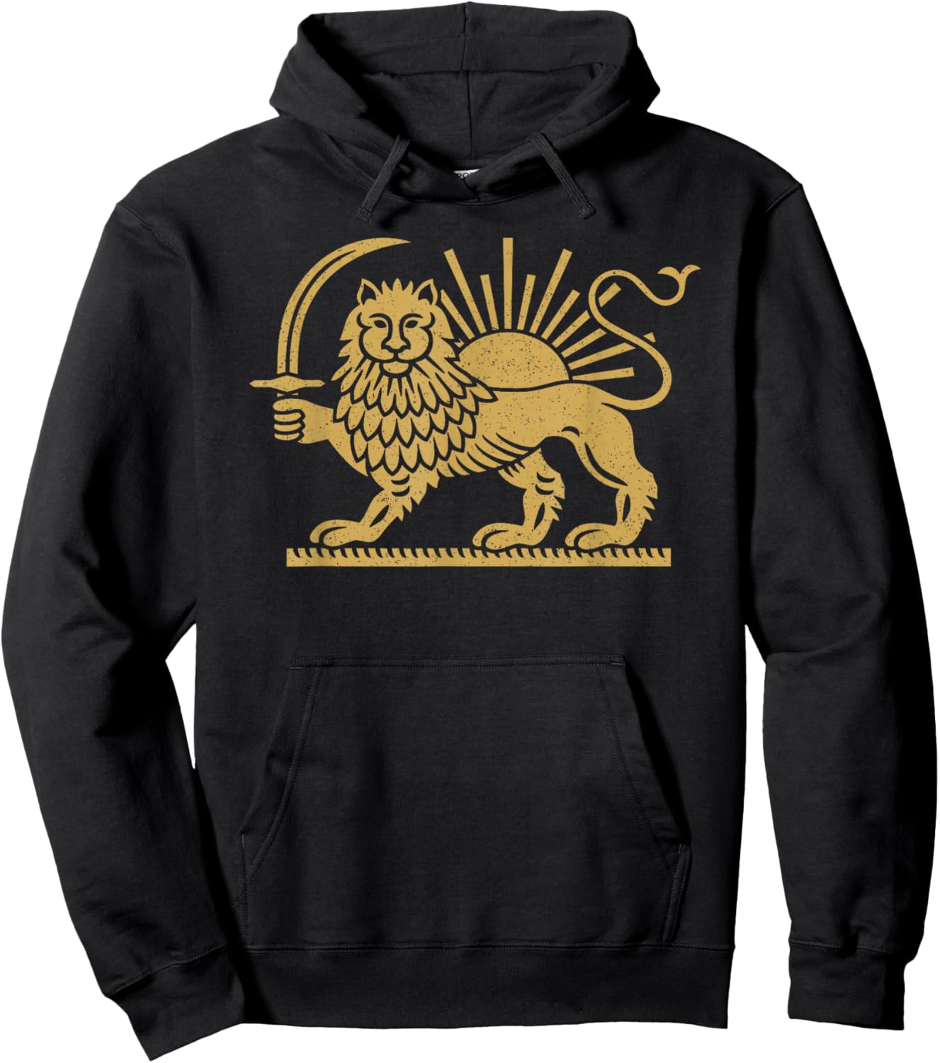 Symbole du Lion et du Soleil perse Iran Hoodie - Hoodie | Black