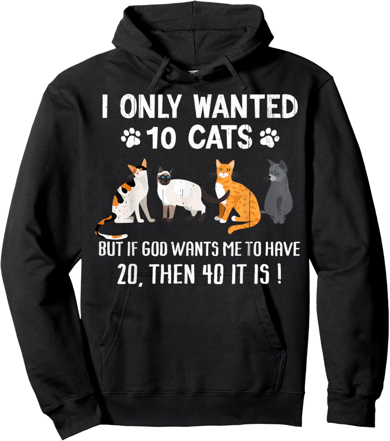 I Only Wanted 10 Cats - Pets Funny Cats Quote Humor Cat Hoodie - Hoodie | Black