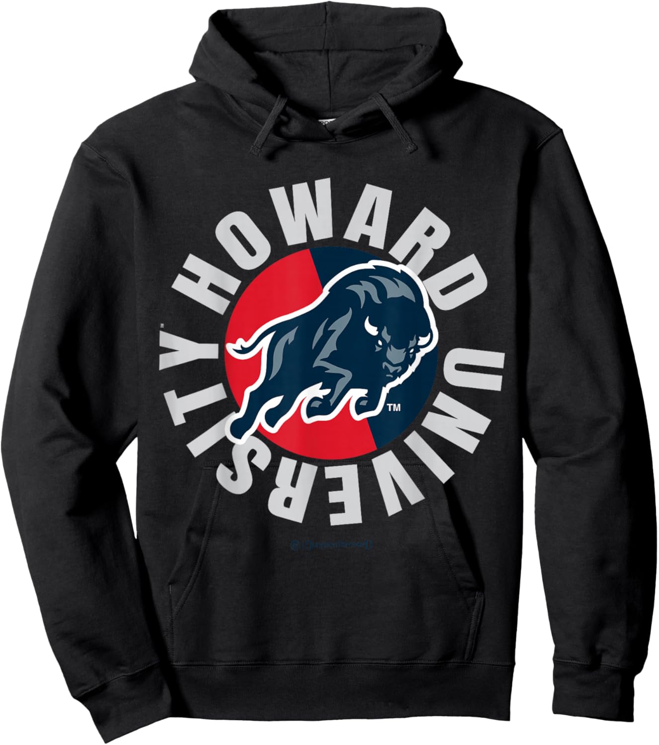 The Yard Essentials - Howard University - Pure Circle - HBCU Hoodie - Hoodie | Black