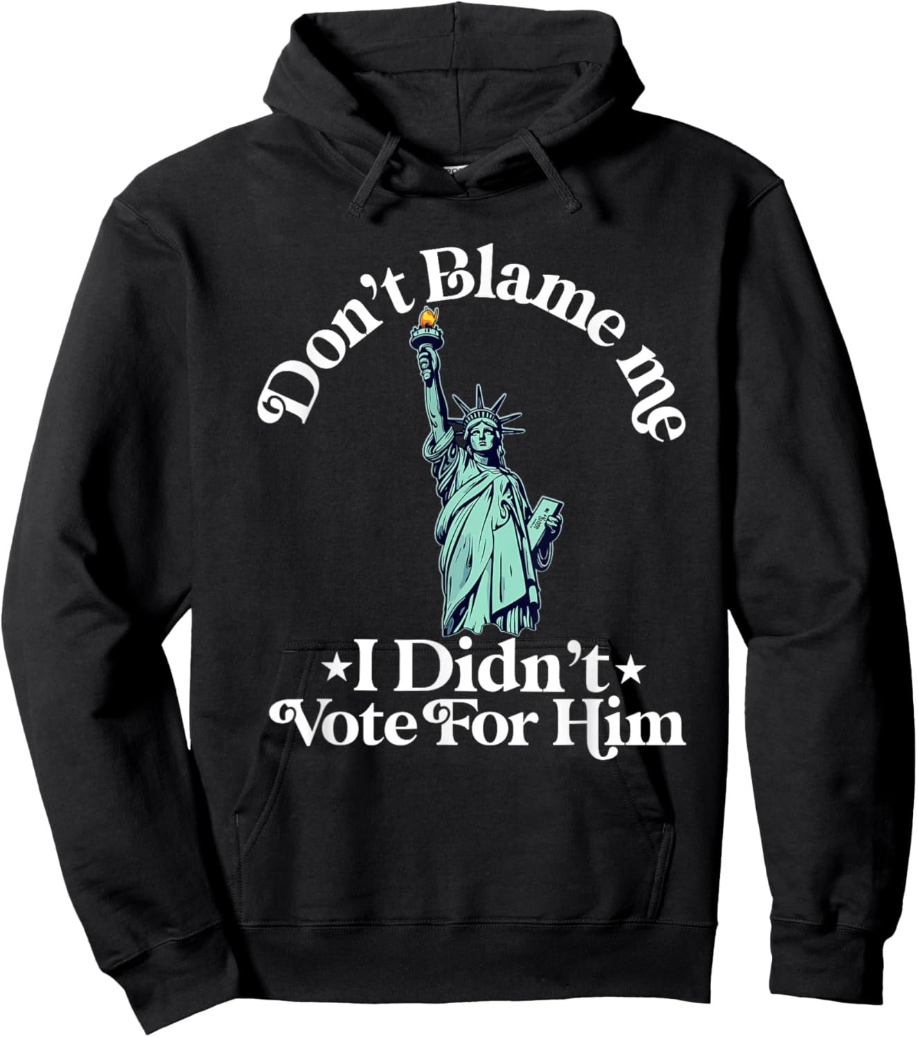 Dont Blame Me I Didn't Vote Democrat Politics Hoodie - Hoodie | Black