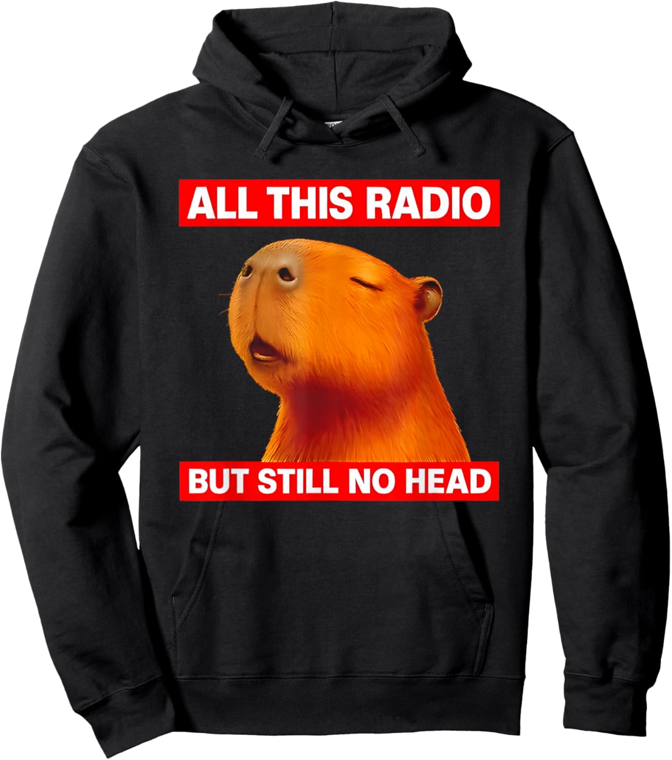 All This Radio But Still No Head Capybara Hoodie - Hoodie | Black