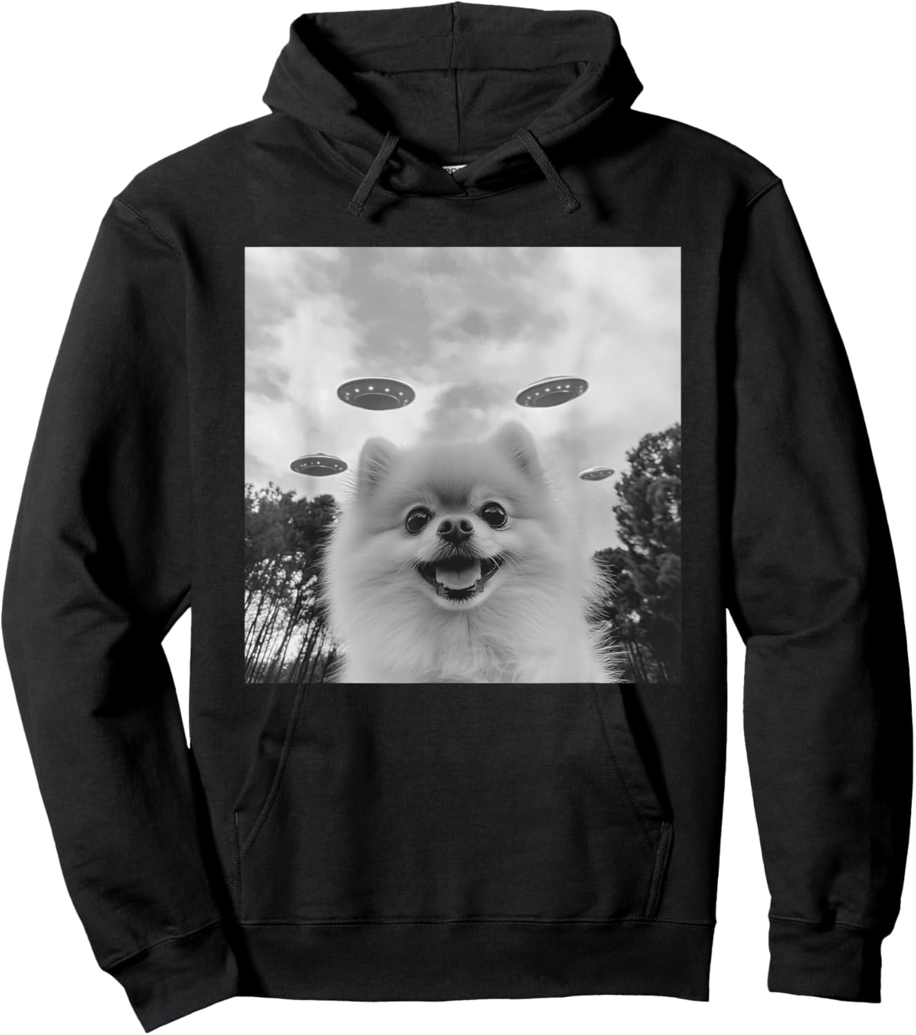 Cute Pomeranian Dog Selfie With UFO UAP Invasion Alien Hoodie - Hoodie | Black