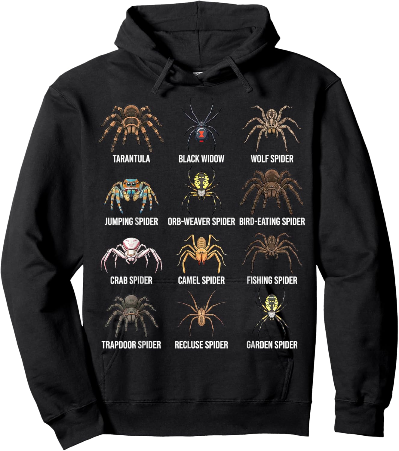 Types of Spiders Educational Species Chart Boys Girls Kids Hoodie - Hoodie | Black