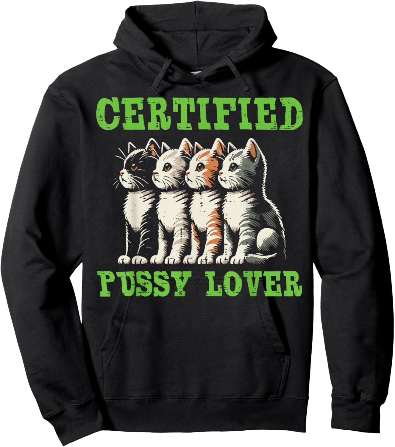 Cats Certified Cat Lover Funny Inappropriate Humor Men Women Hoodie - Hoodie | Black