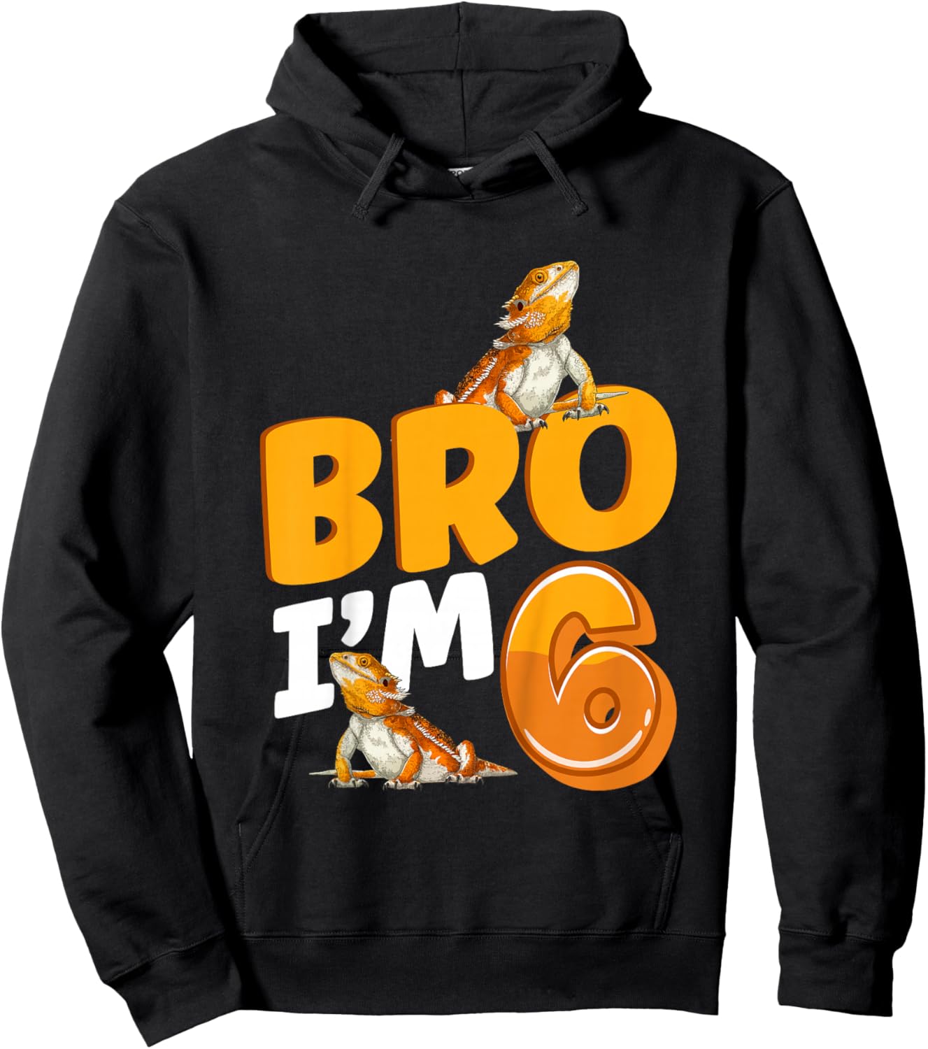 6th Reptile Birthday Six Year Old Bearded Dragon Birthday Hoodie - Hoodie | Black