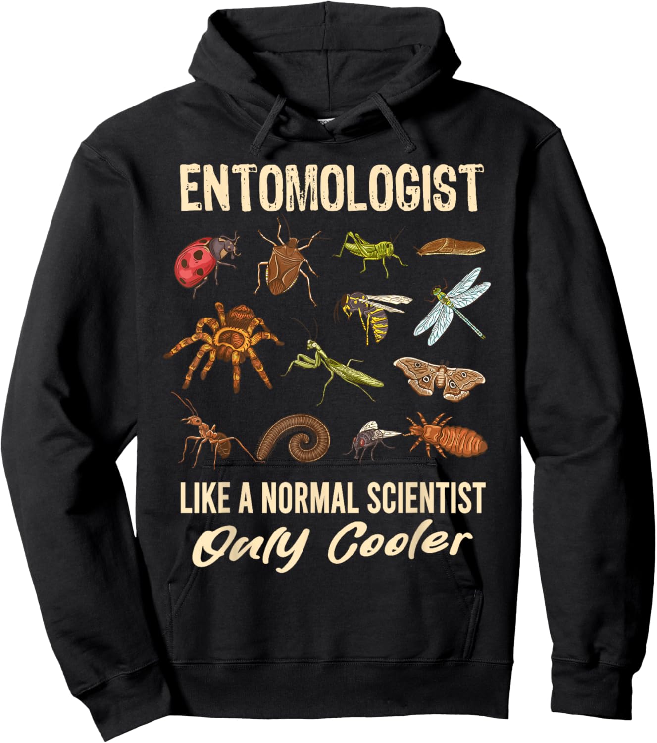 Entomologist Definition Funny Entomology Science Insect Hoodie - Hoodie | Black