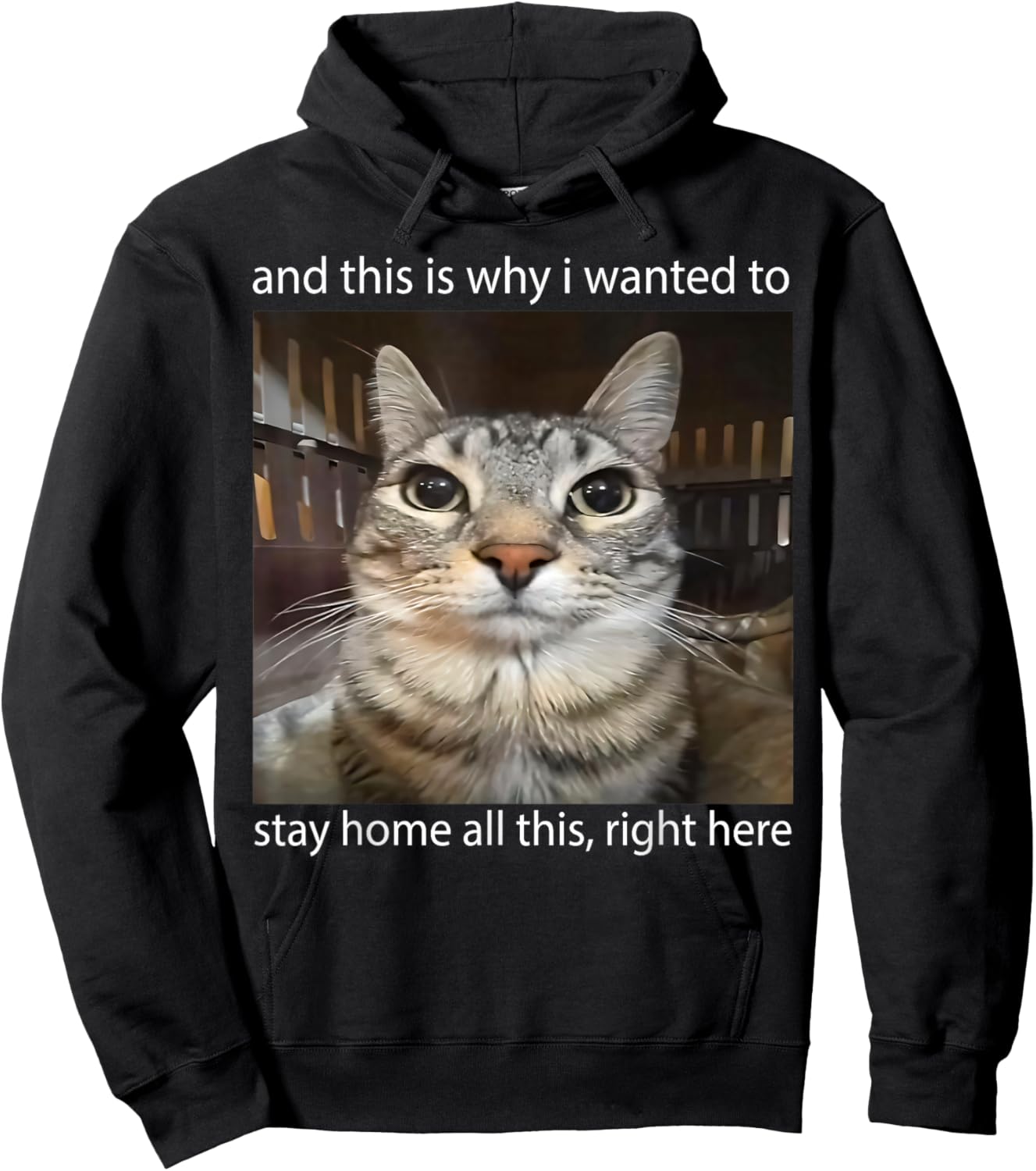 Silly Staring Cat Meme and This is Why I Wanted to Stay Home Hoodie - Hoodie | Black