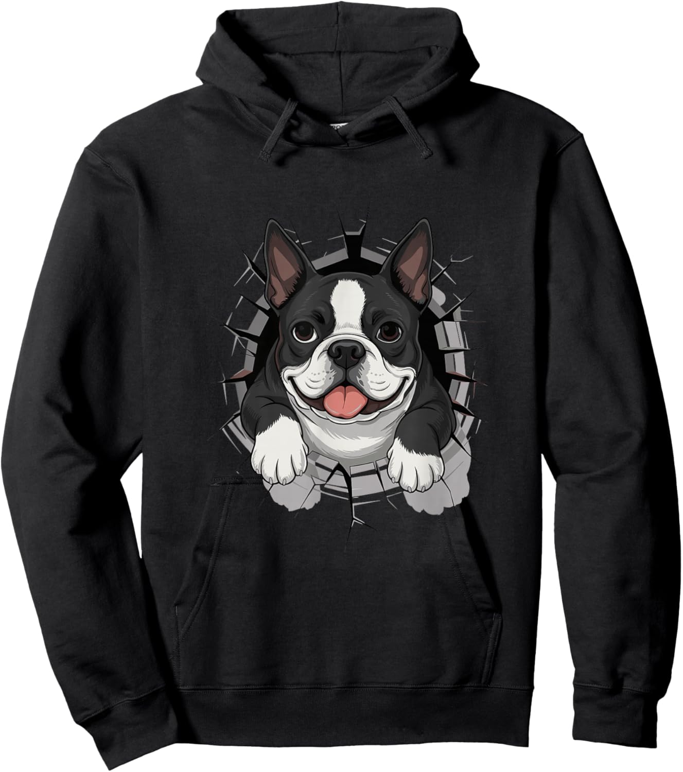 Cracked Wall Boston Terrier Hoodie - Hoodie | Black