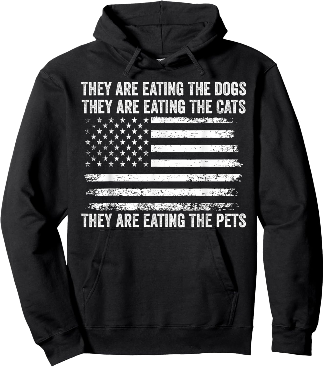 They Are Eating The Dogs The Cats The Pets US Flag Vintage Hoodie - Hoodie | Black