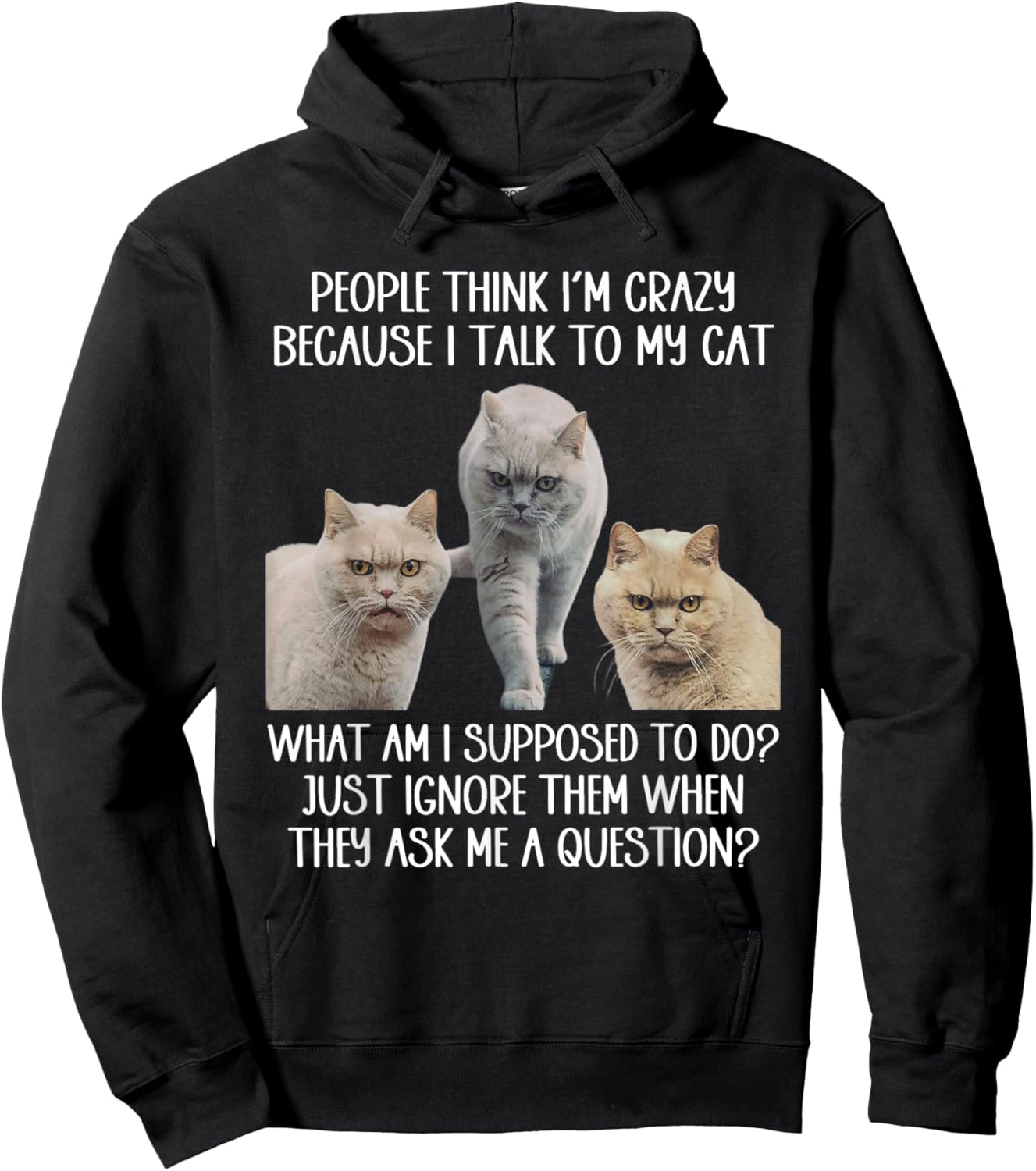 People Think I'm Crazy Because I Talk To My Cat Men Women Hoodie - Hoodie | Black
