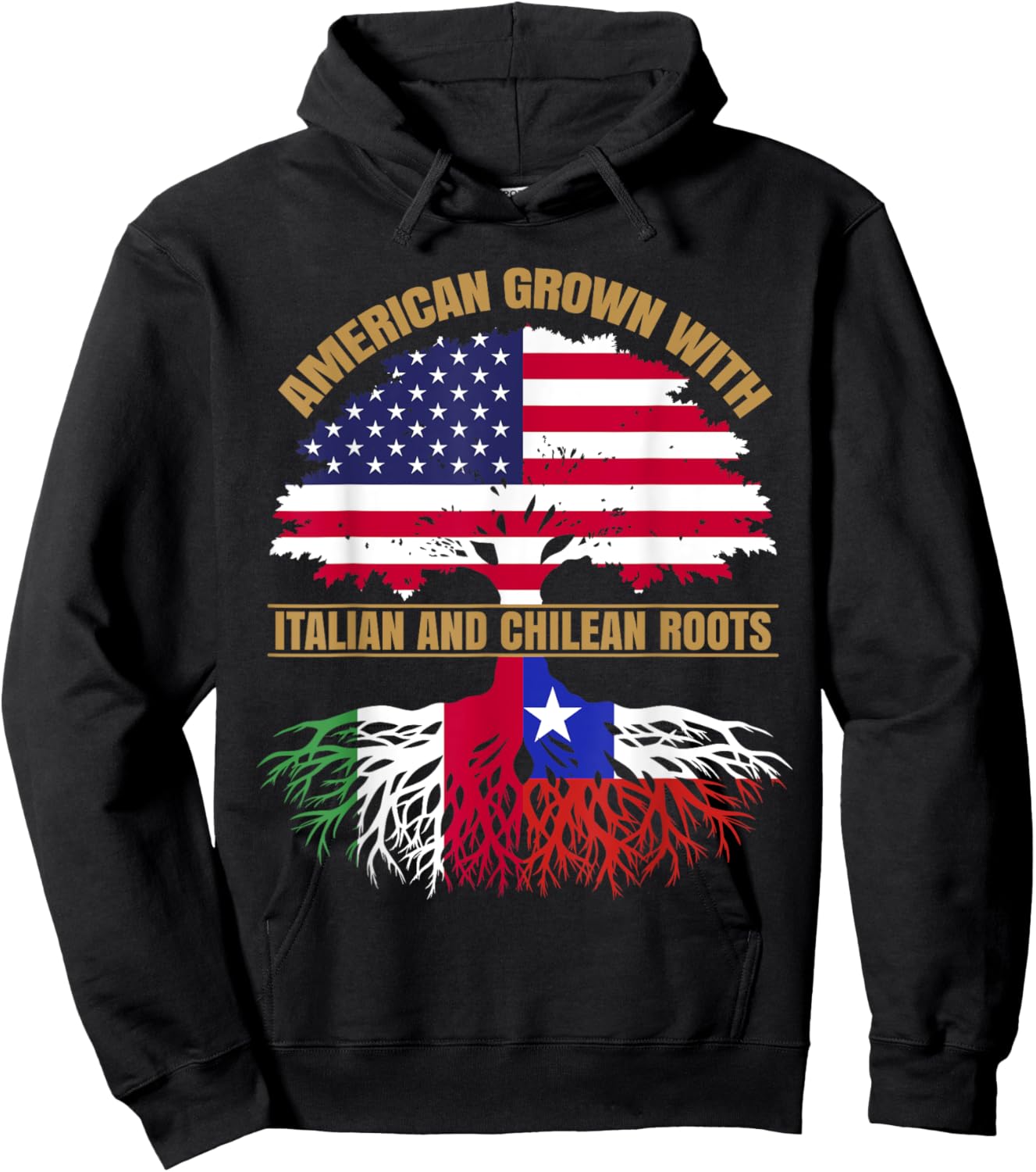 Heritage American Grown with Italian Chilean Roots Hoodie - Hoodie | Black