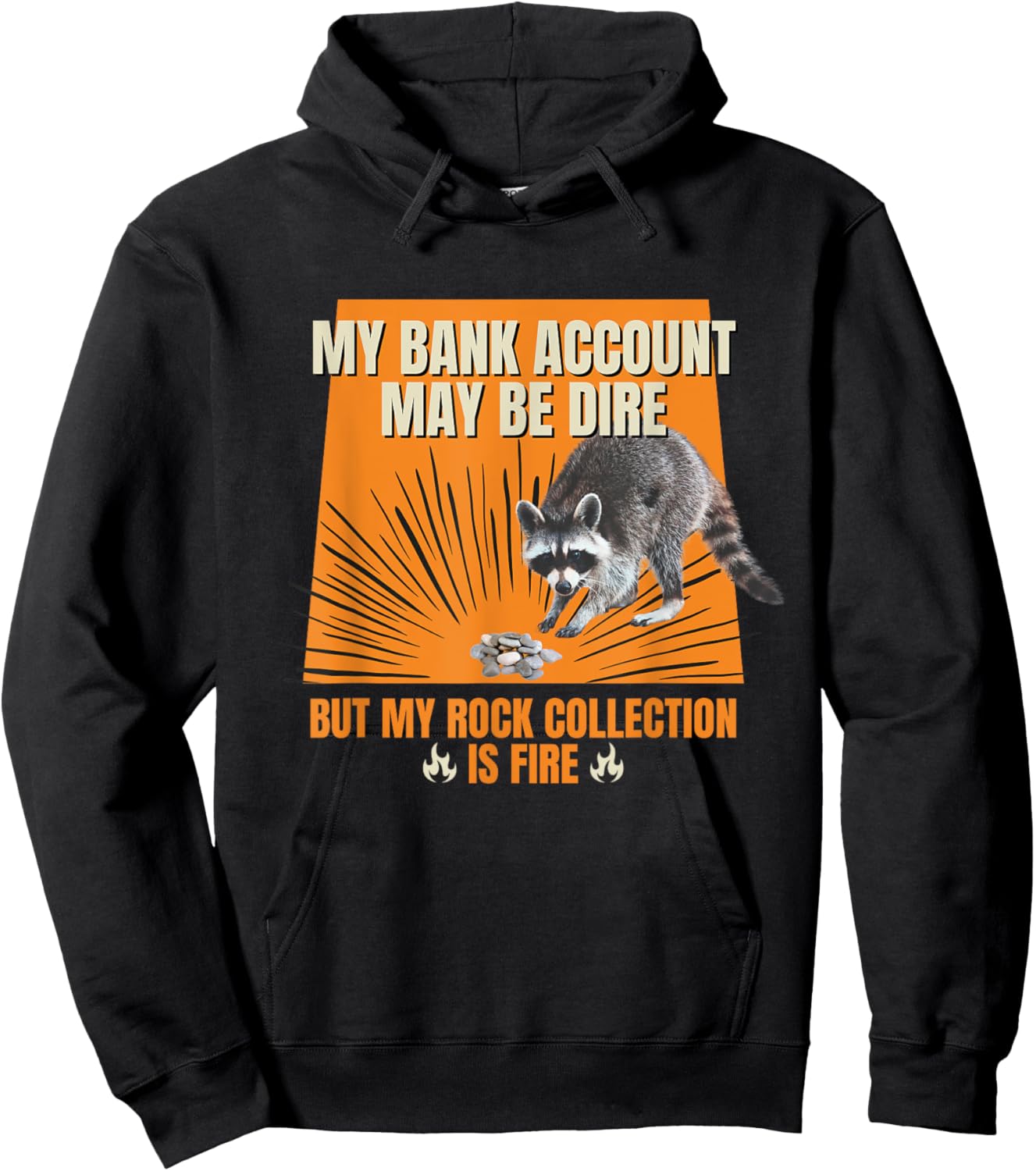 My Bank Account Be Dire My Rock Collection Is Fire Raccoon Hoodie - Hoodie | Black