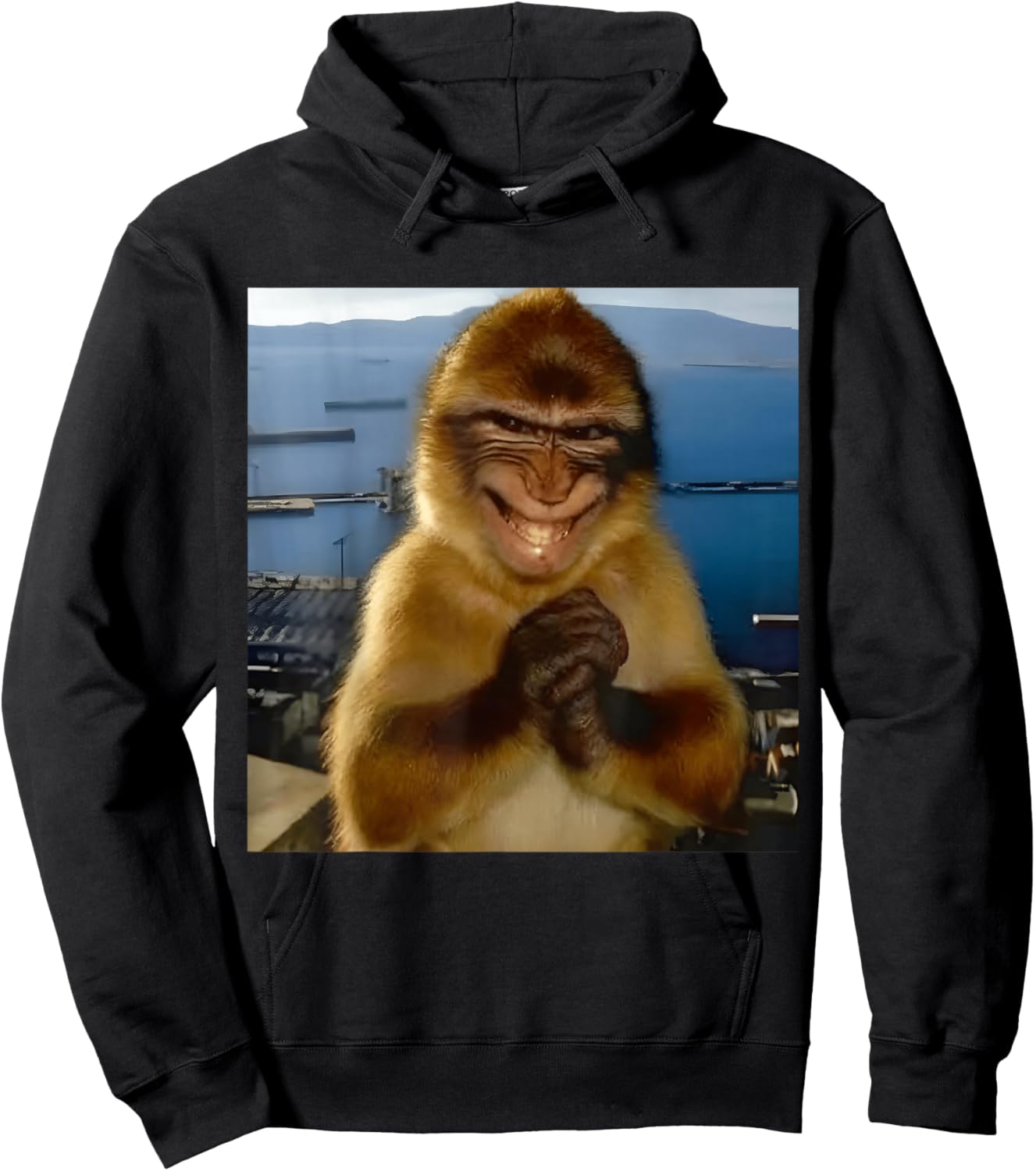 Thinking Monkey Meme Found an Evil Idea Smiling Funny Silly Hoodie - Hoodie | Black