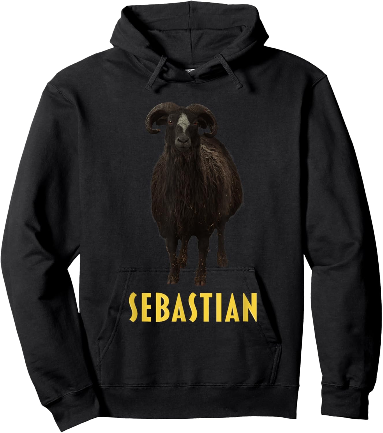 Sebastian Hoodie - Hoodie | Black