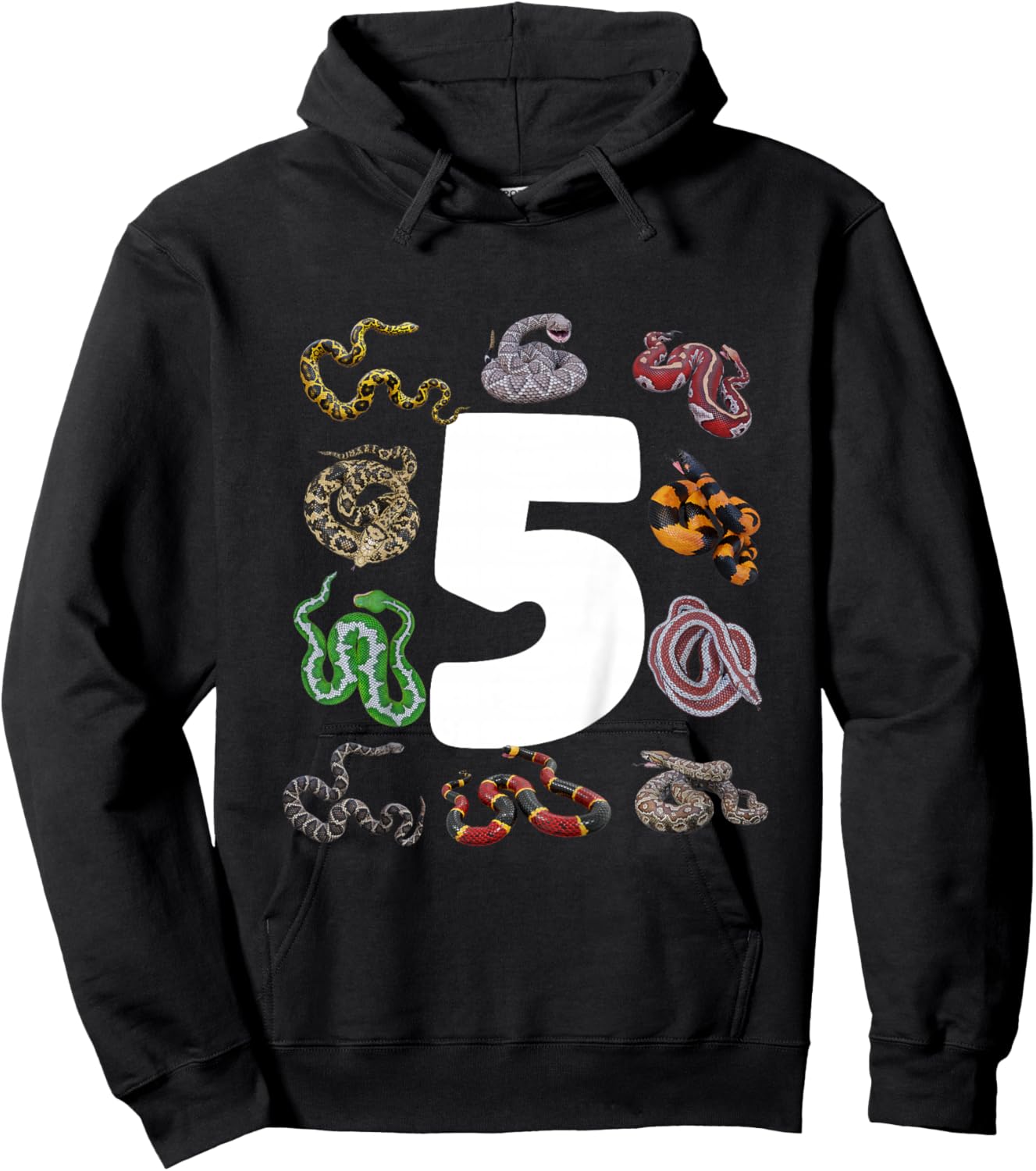 5th Snake Birthday Party Five Year Old Snake Lover Birthday Hoodie - Hoodie | Black
